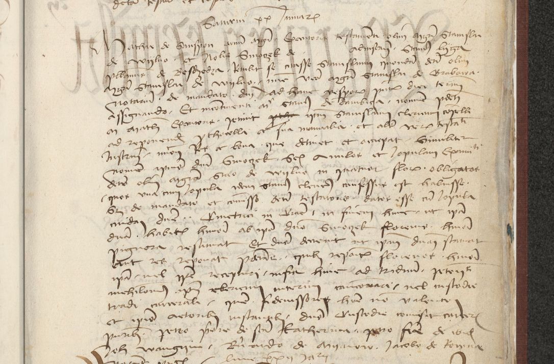 Zdjęcie nr 434 dla obiektu archiwalnego: [Acta actorum officialia coram Raphaele de Skawina]