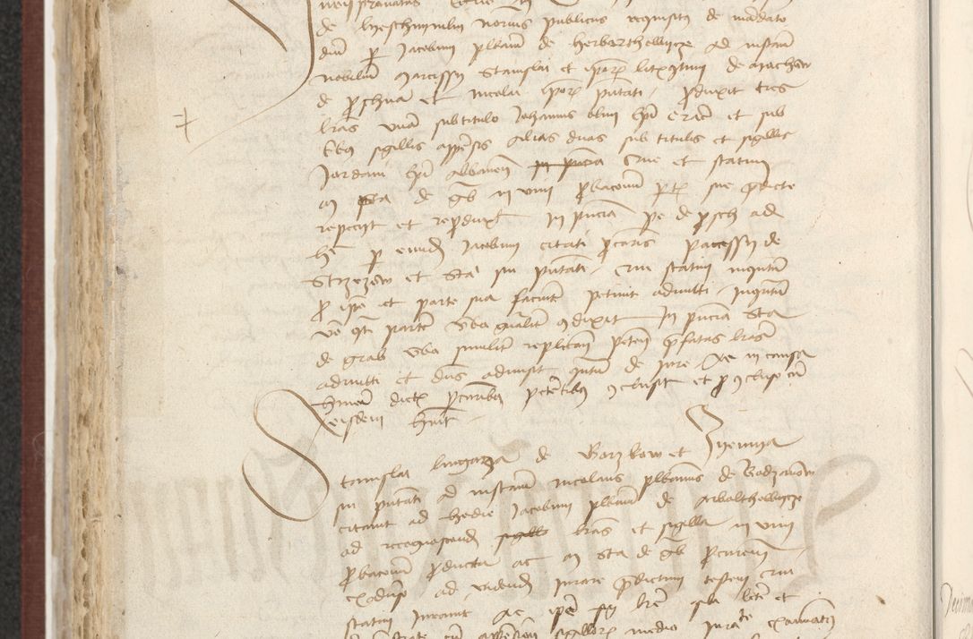 Zdjęcie nr 409 dla obiektu archiwalnego: [Acta actorum officialia coram Raphaele de Skawina]