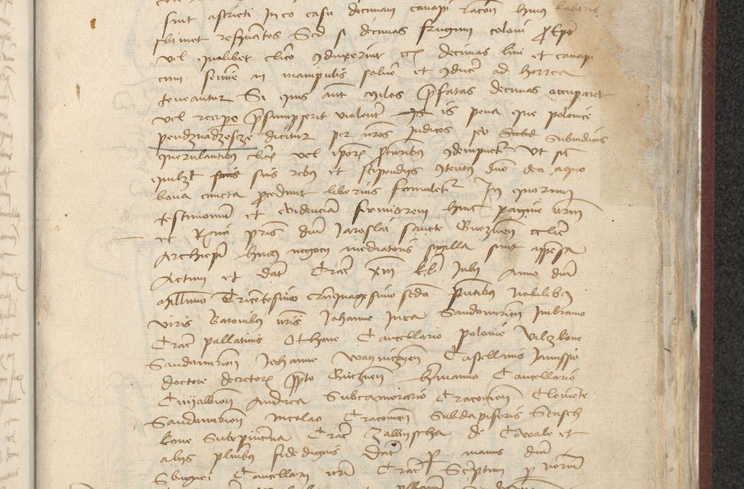 Zdjęcie nr 362 dla obiektu archiwalnego: [Acta actorum officialia coram Raphaele de Skawina]