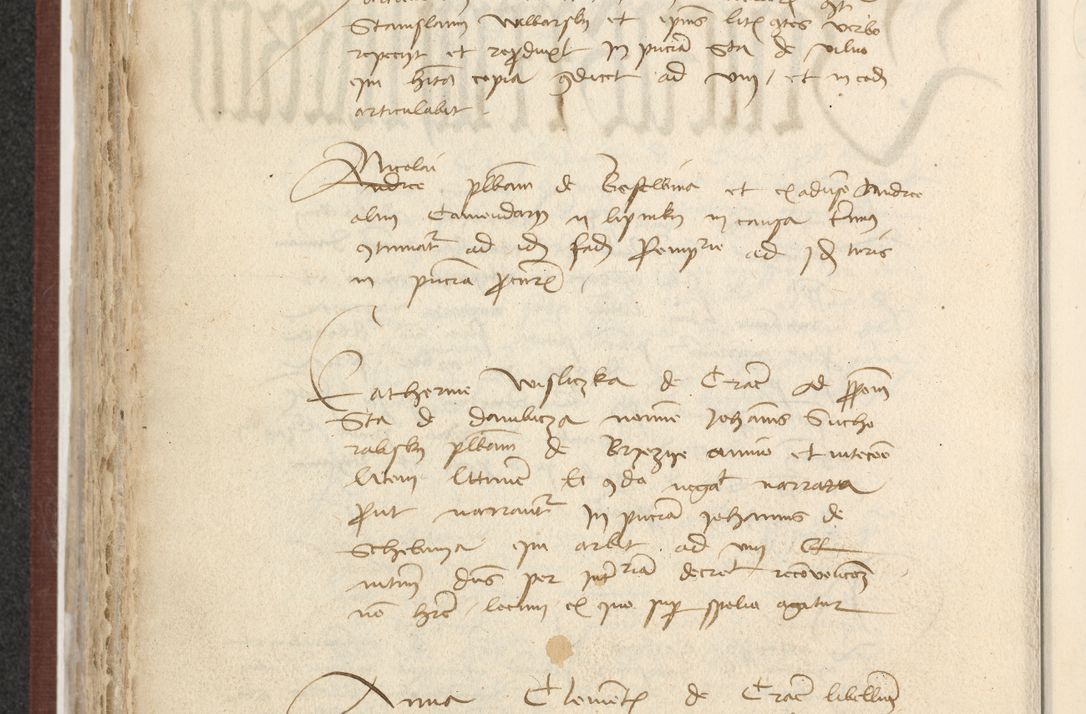 Zdjęcie nr 347 dla obiektu archiwalnego: [Acta actorum officialia coram Raphaele de Skawina]