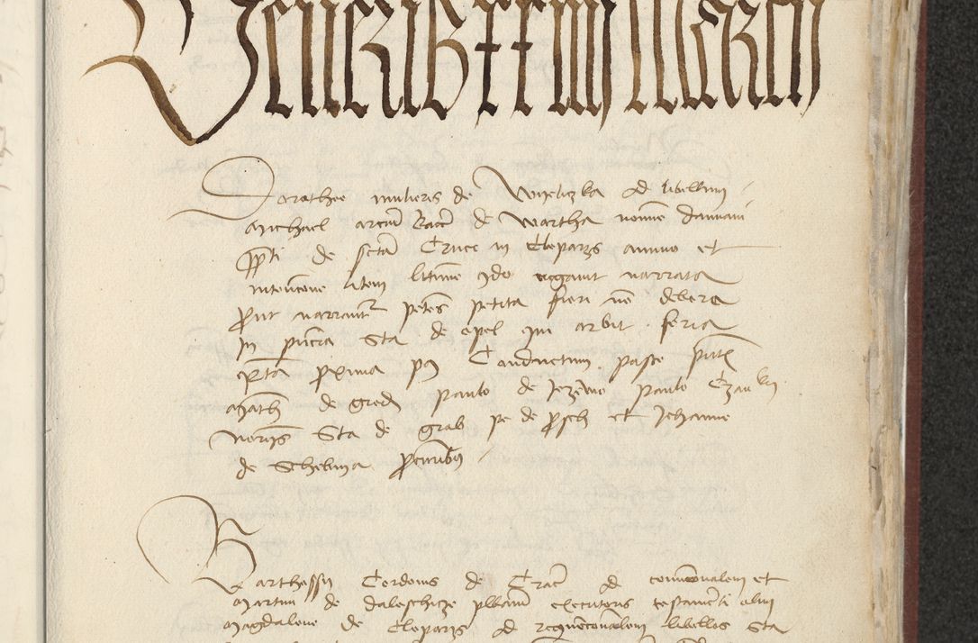 Zdjęcie nr 346 dla obiektu archiwalnego: [Acta actorum officialia coram Raphaele de Skawina]