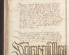 Zdjęcie nr 339 dla obiektu archiwalnego: [Acta actorum officialia coram Raphaele de Skawina]