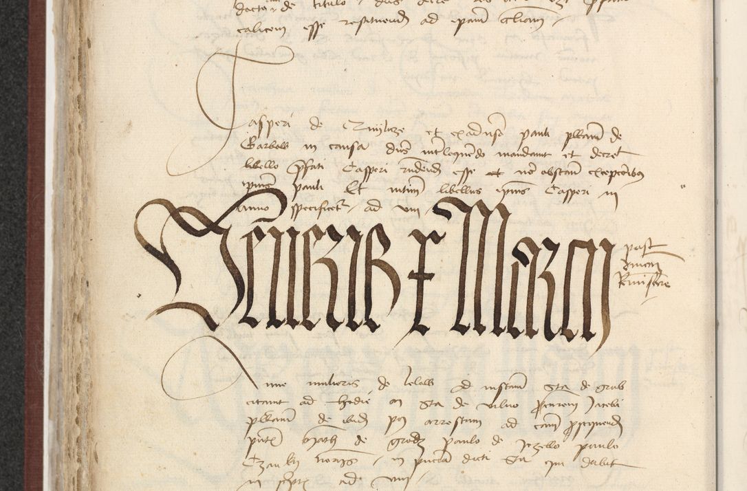 Zdjęcie nr 333 dla obiektu archiwalnego: [Acta actorum officialia coram Raphaele de Skawina]