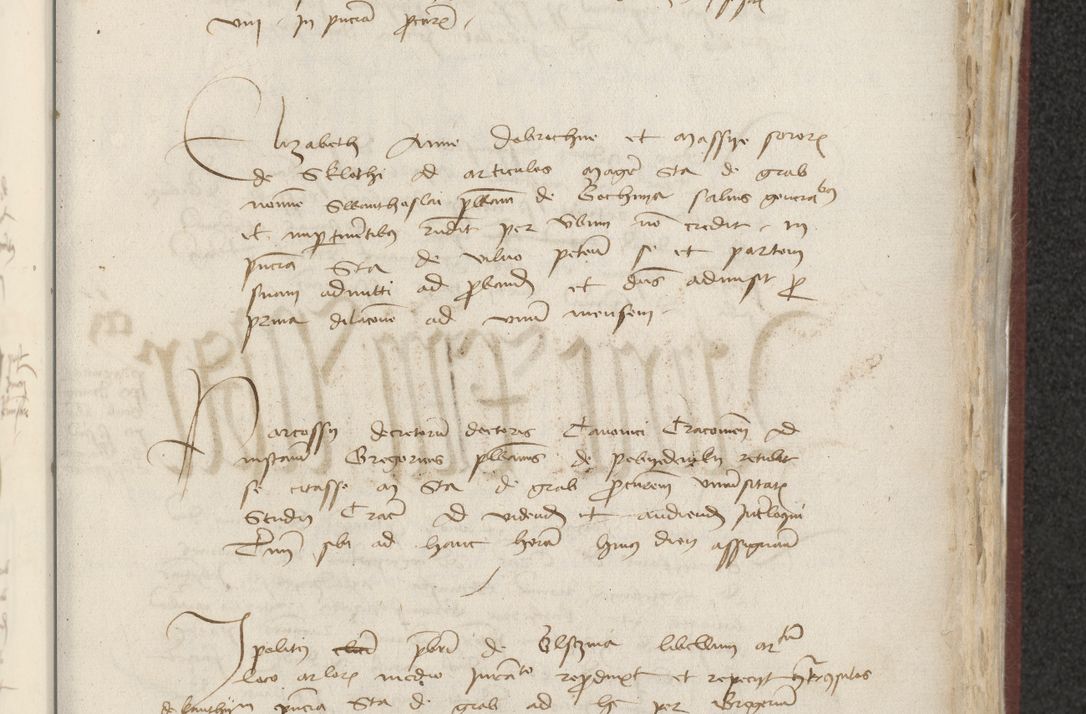 Zdjęcie nr 334 dla obiektu archiwalnego: [Acta actorum officialia coram Raphaele de Skawina]