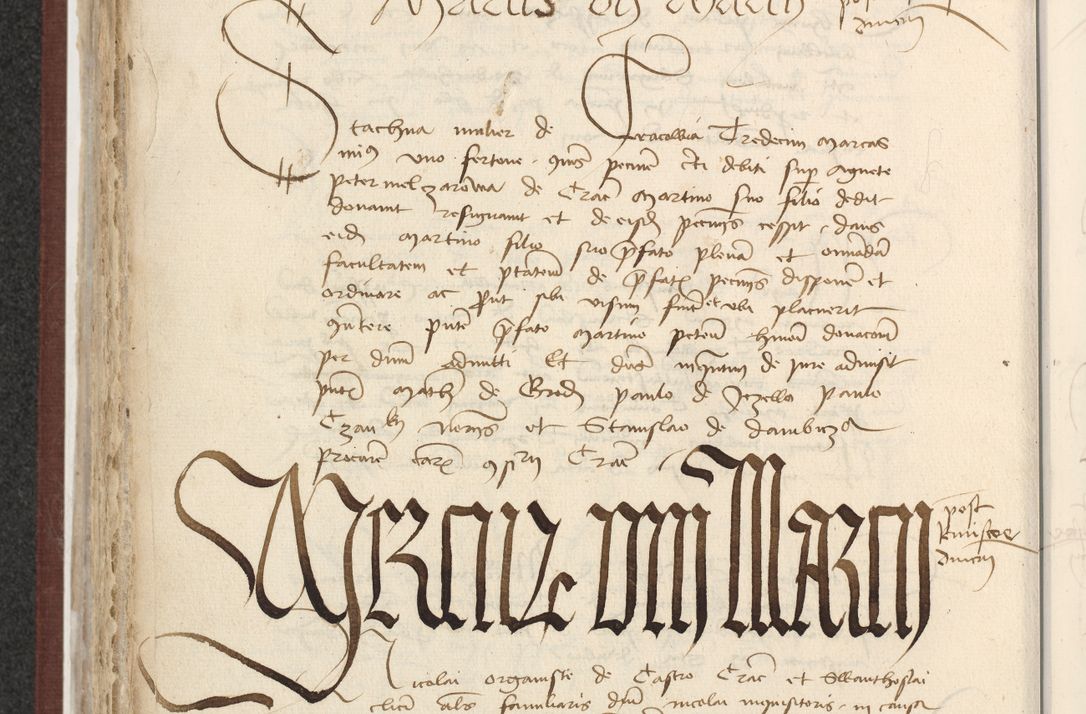 Zdjęcie nr 331 dla obiektu archiwalnego: [Acta actorum officialia coram Raphaele de Skawina]