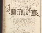 Zdjęcie nr 321 dla obiektu archiwalnego: [Acta actorum officialia coram Raphaele de Skawina]