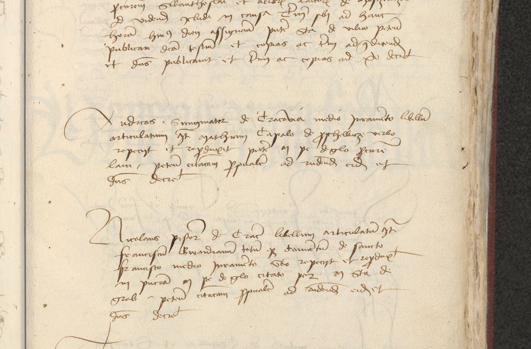 Zdjęcie nr 316 dla obiektu archiwalnego: [Acta actorum officialia coram Raphaele de Skawina]