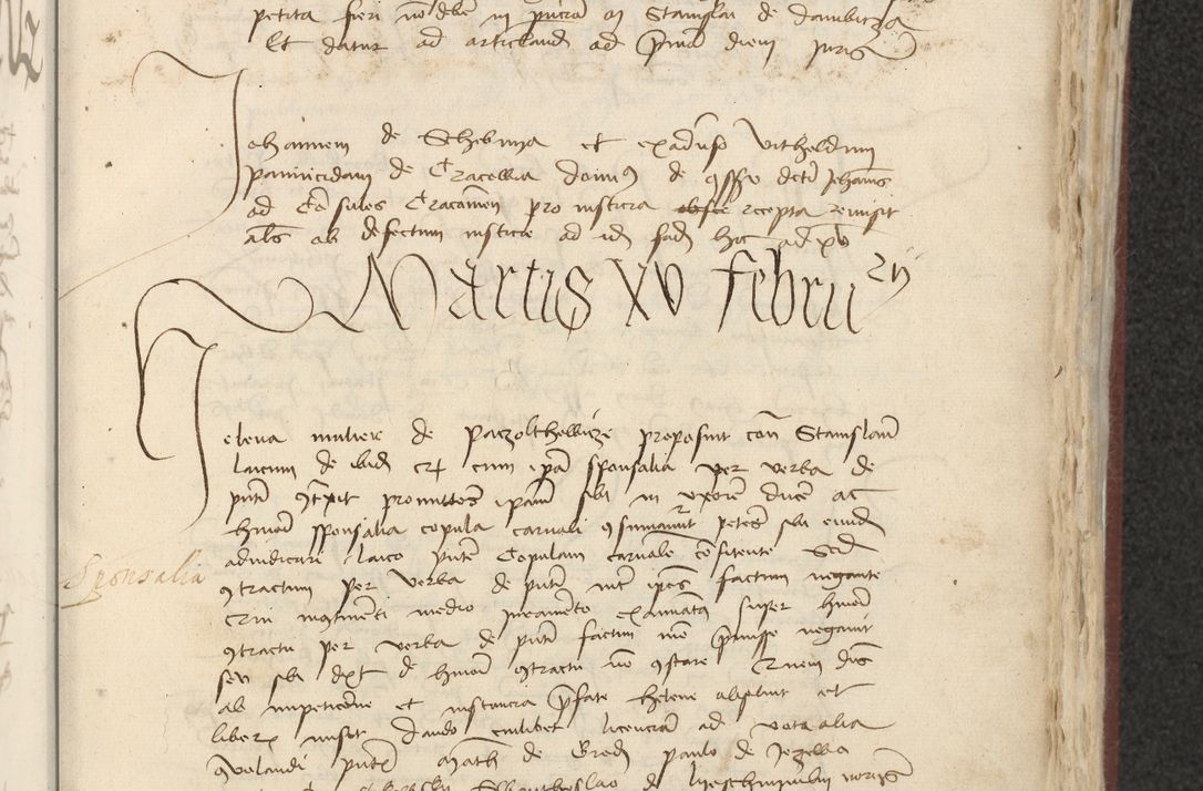 Zdjęcie nr 314 dla obiektu archiwalnego: [Acta actorum officialia coram Raphaele de Skawina]