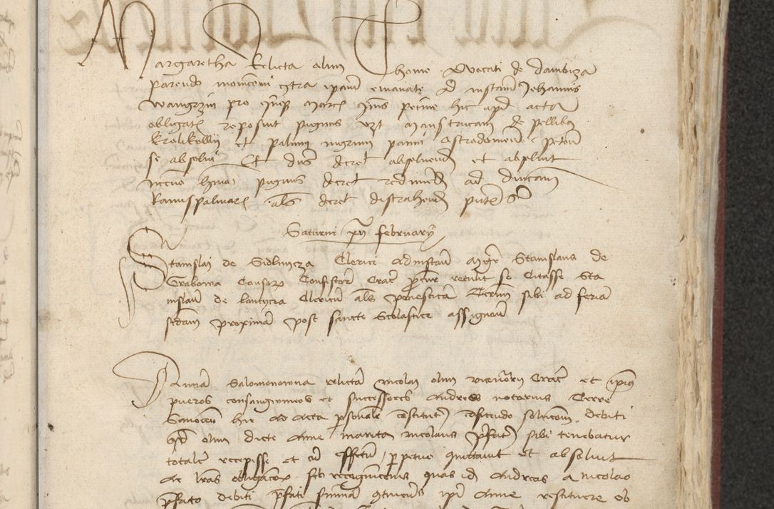 Zdjęcie nr 312 dla obiektu archiwalnego: [Acta actorum officialia coram Raphaele de Skawina]