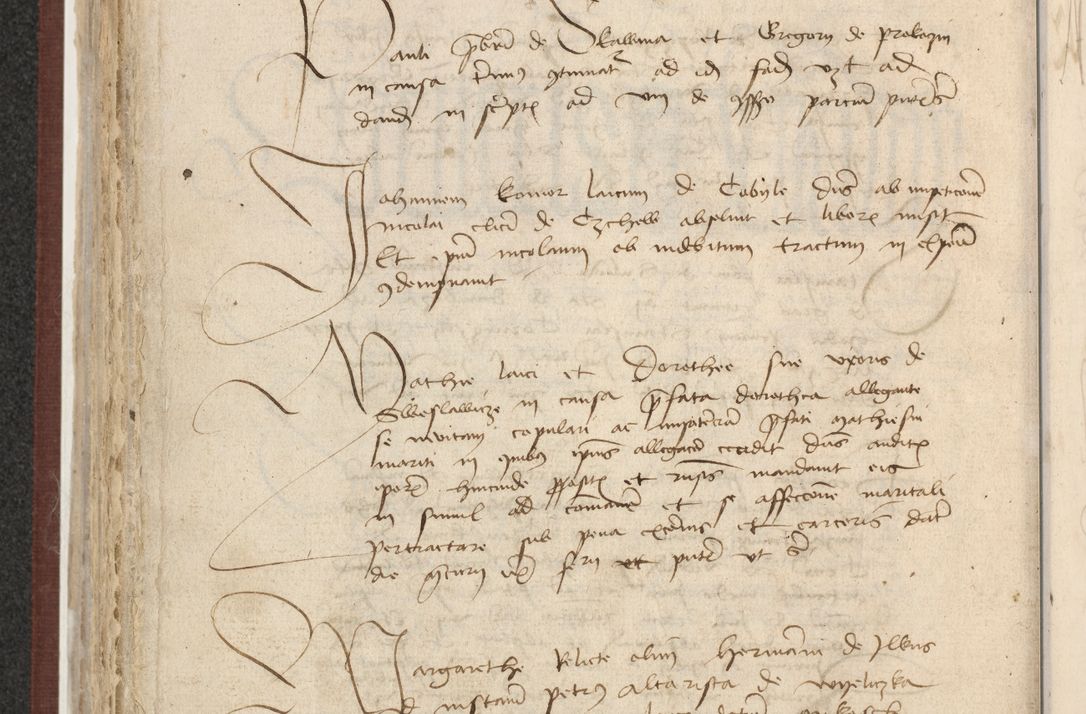 Zdjęcie nr 311 dla obiektu archiwalnego: [Acta actorum officialia coram Raphaele de Skawina]