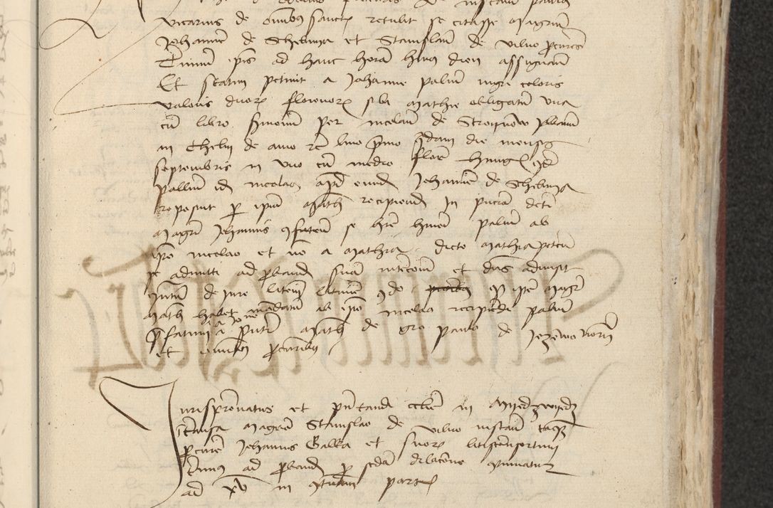 Zdjęcie nr 306 dla obiektu archiwalnego: [Acta actorum officialia coram Raphaele de Skawina]