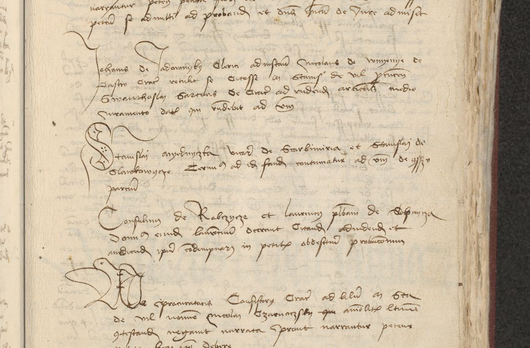 Zdjęcie nr 296 dla obiektu archiwalnego: [Acta actorum officialia coram Raphaele de Skawina]