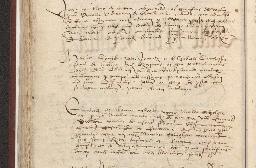 Zdjęcie nr 293 dla obiektu archiwalnego: [Acta actorum officialia coram Raphaele de Skawina]