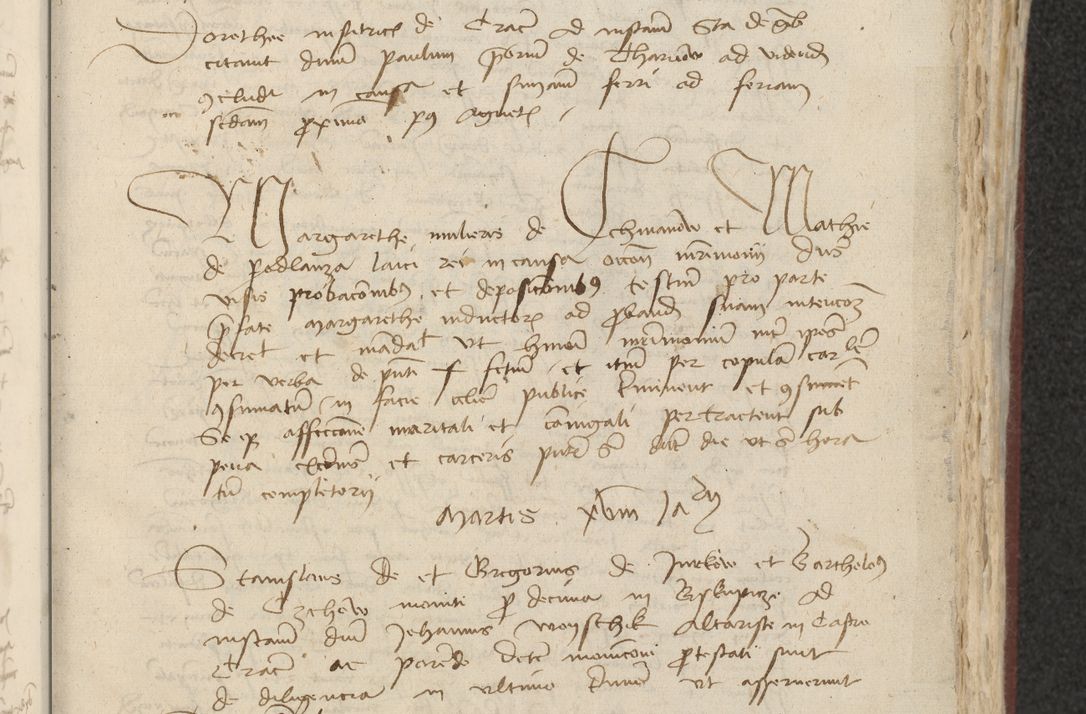 Zdjęcie nr 286 dla obiektu archiwalnego: [Acta actorum officialia coram Raphaele de Skawina]