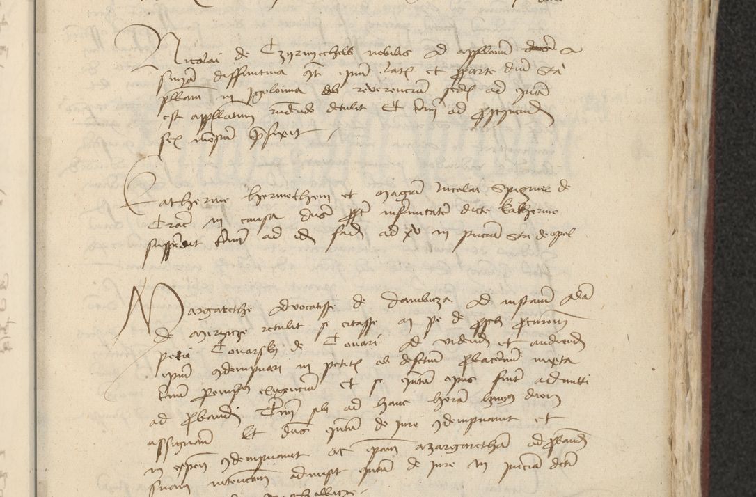 Zdjęcie nr 282 dla obiektu archiwalnego: [Acta actorum officialia coram Raphaele de Skawina]