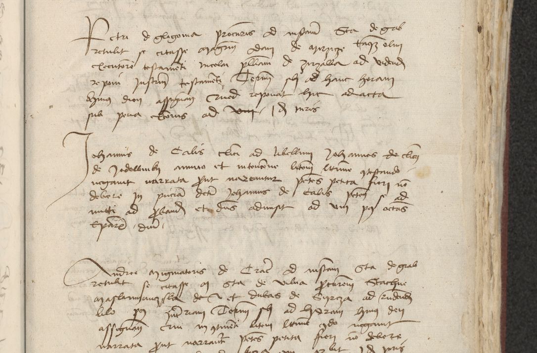 Zdjęcie nr 262 dla obiektu archiwalnego: [Acta actorum officialia coram Raphaele de Skawina]