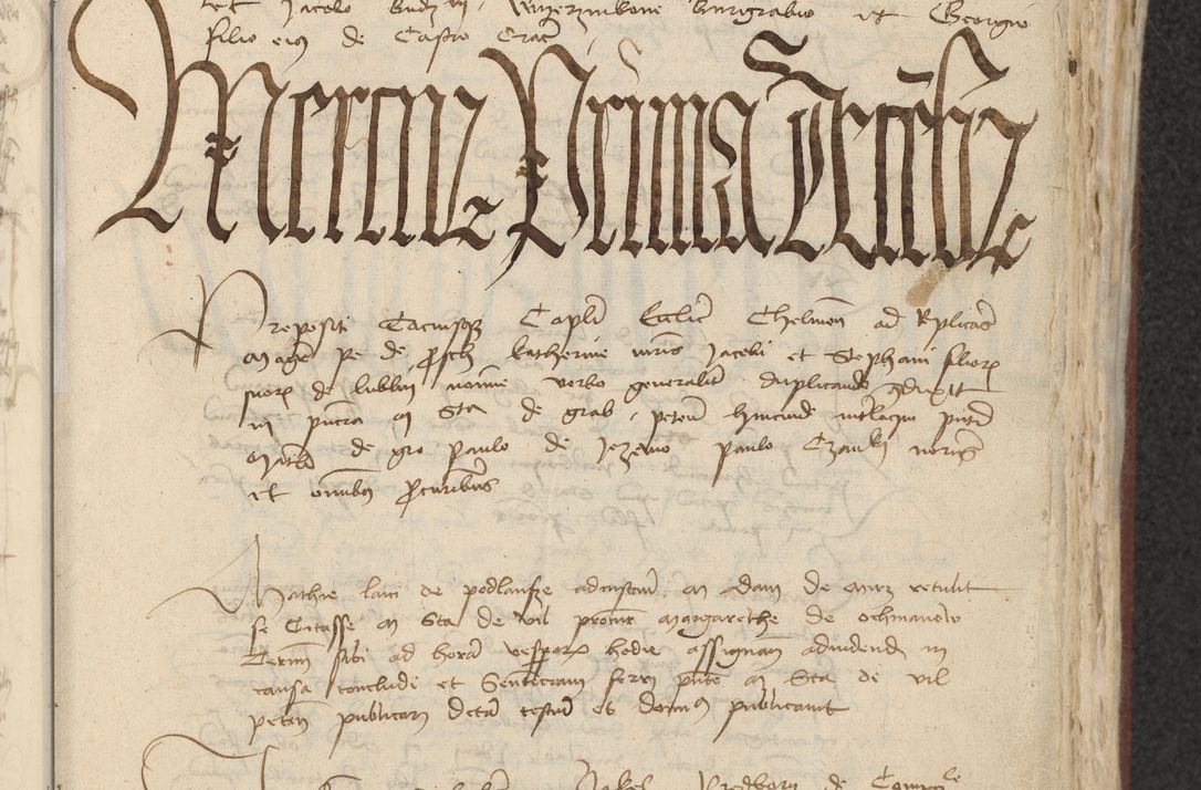 Zdjęcie nr 252 dla obiektu archiwalnego: [Acta actorum officialia coram Raphaele de Skawina]