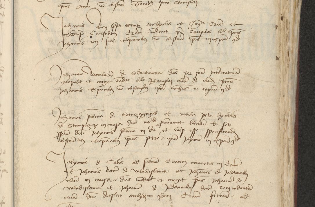 Zdjęcie nr 246 dla obiektu archiwalnego: [Acta actorum officialia coram Raphaele de Skawina]