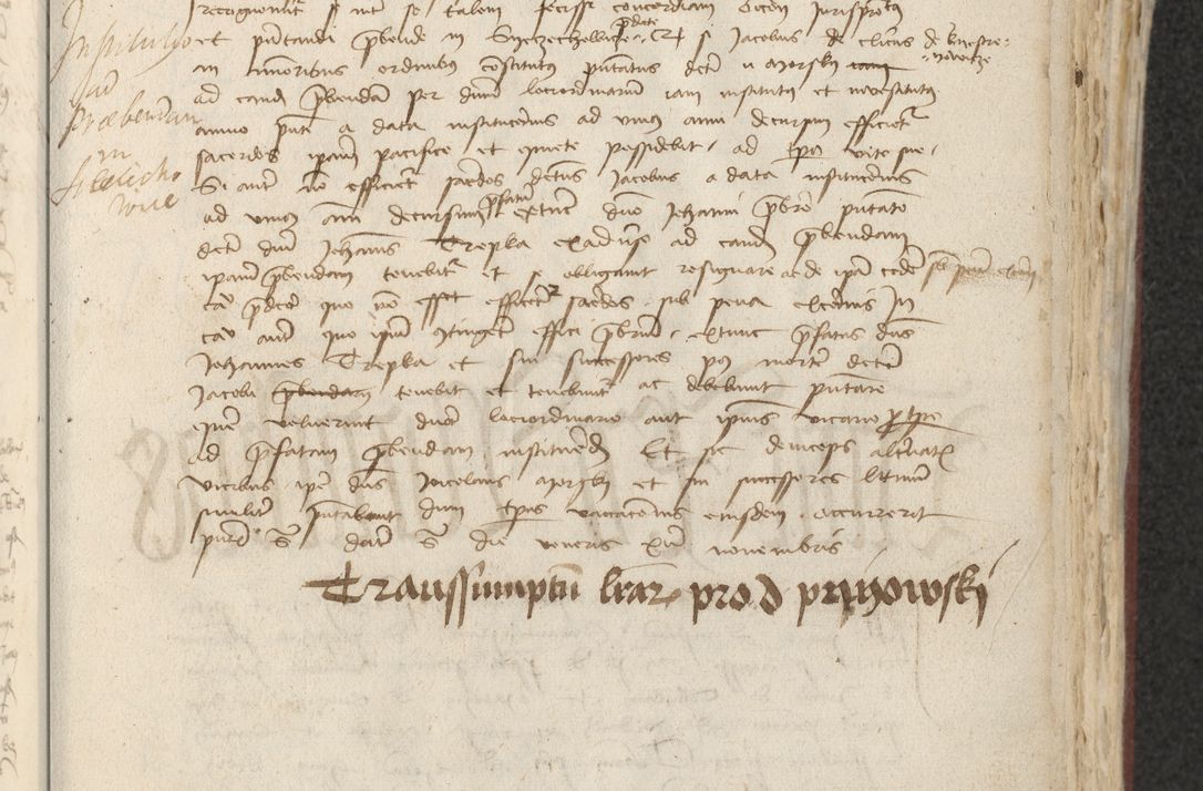 Zdjęcie nr 236 dla obiektu archiwalnego: [Acta actorum officialia coram Raphaele de Skawina]