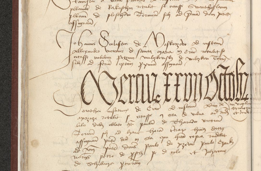 Zdjęcie nr 223 dla obiektu archiwalnego: [Acta actorum officialia coram Raphaele de Skawina]