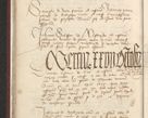 Zdjęcie nr 223 dla obiektu archiwalnego: [Acta actorum officialia coram Raphaele de Skawina]