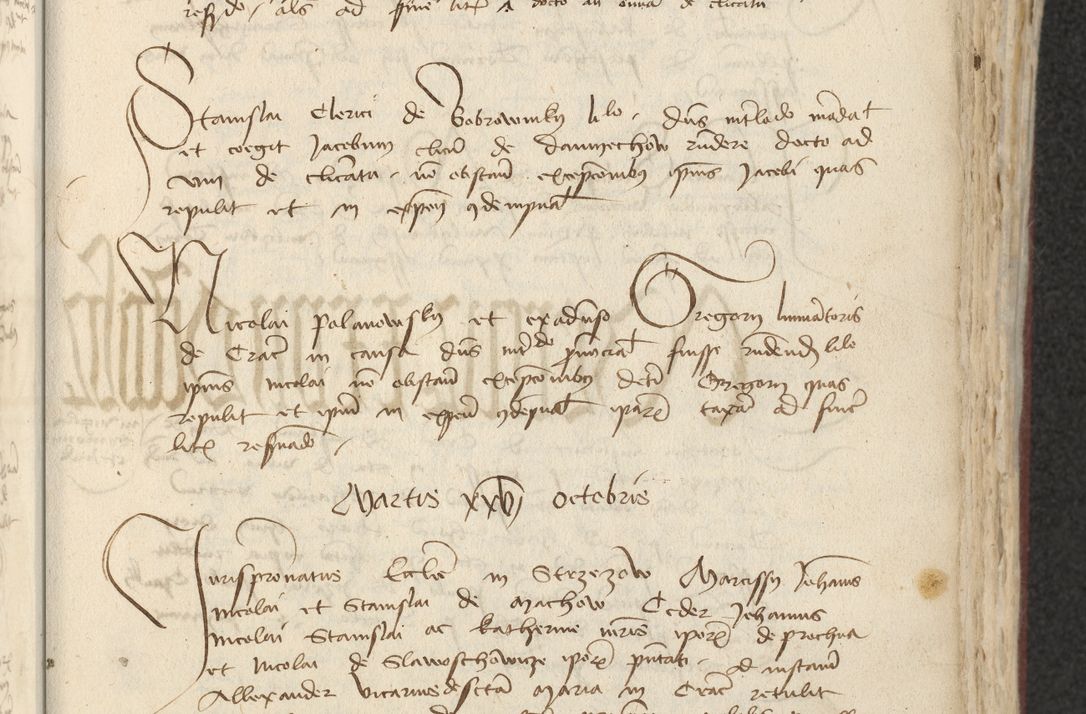 Zdjęcie nr 222 dla obiektu archiwalnego: [Acta actorum officialia coram Raphaele de Skawina]