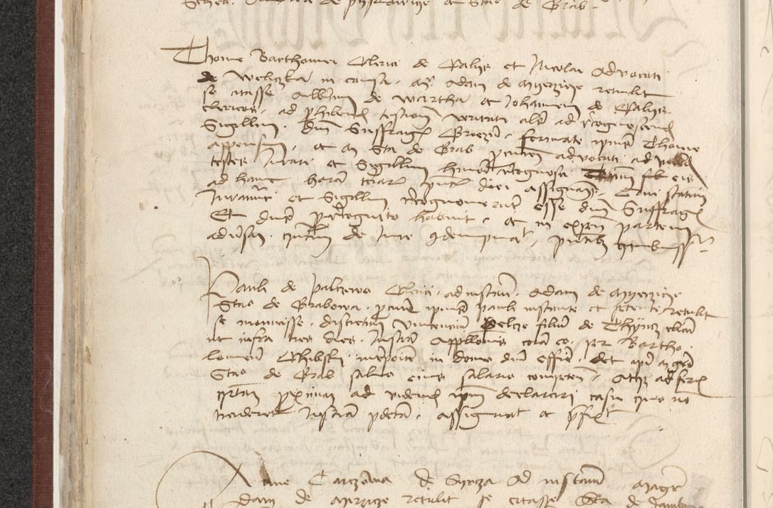 Zdjęcie nr 219 dla obiektu archiwalnego: [Acta actorum officialia coram Raphaele de Skawina]