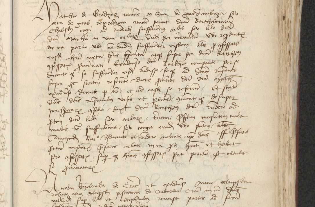 Zdjęcie nr 220 dla obiektu archiwalnego: [Acta actorum officialia coram Raphaele de Skawina]