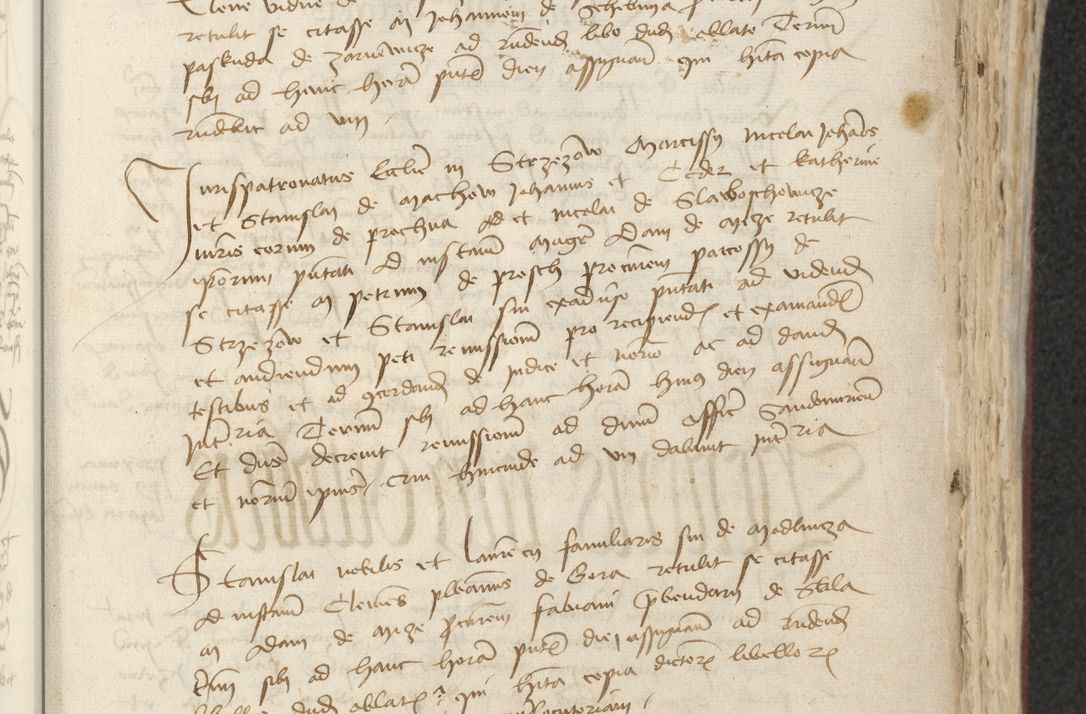 Zdjęcie nr 208 dla obiektu archiwalnego: [Acta actorum officialia coram Raphaele de Skawina]