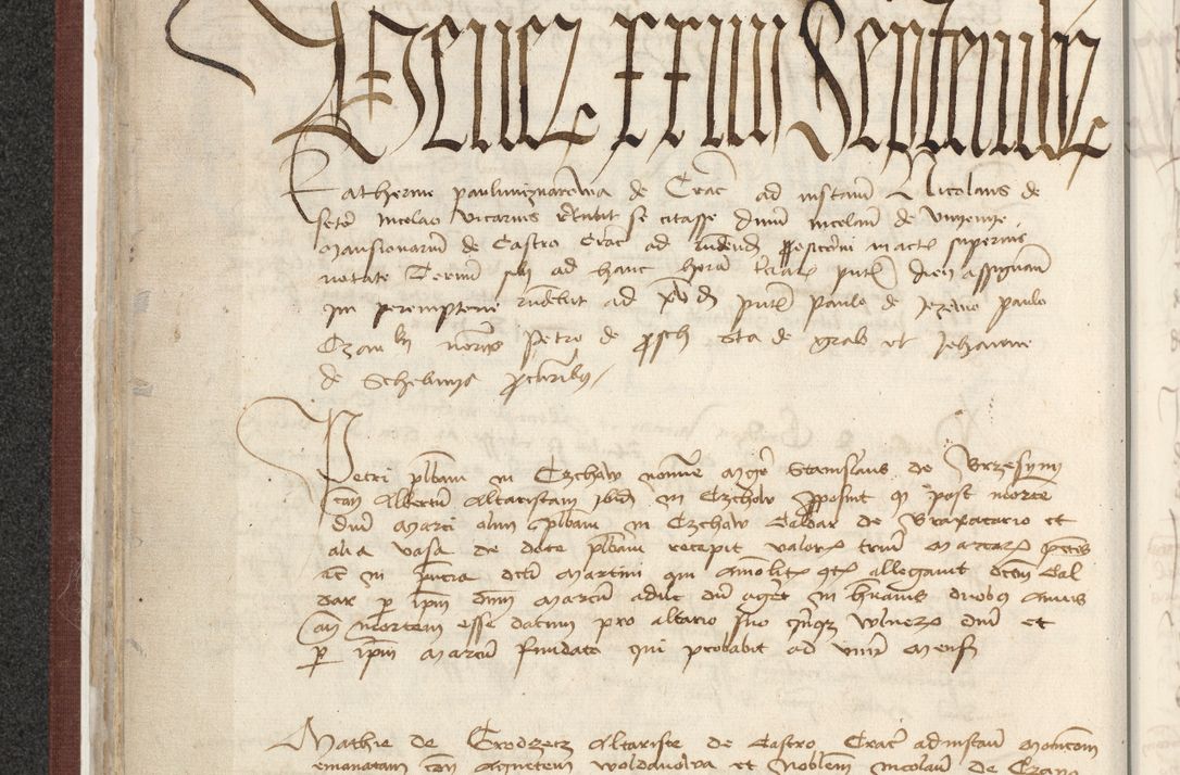 Zdjęcie nr 203 dla obiektu archiwalnego: [Acta actorum officialia coram Raphaele de Skawina]