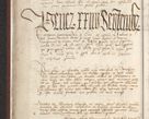 Zdjęcie nr 203 dla obiektu archiwalnego: [Acta actorum officialia coram Raphaele de Skawina]