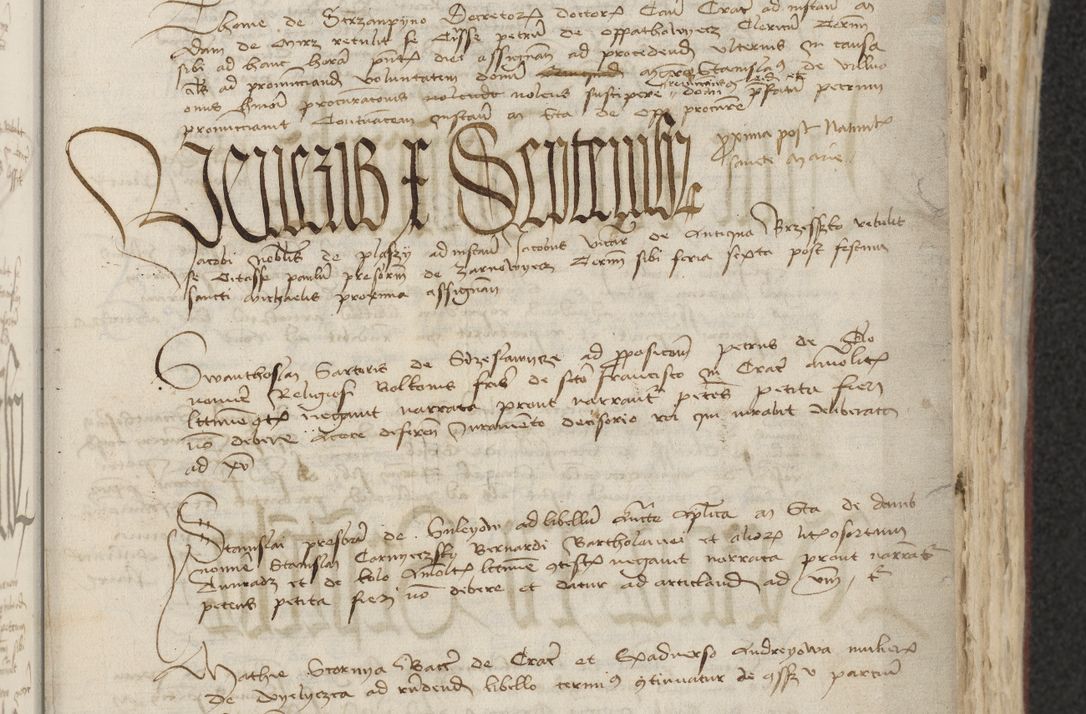 Zdjęcie nr 199 dla obiektu archiwalnego: [Acta actorum officialia coram Raphaele de Skawina]