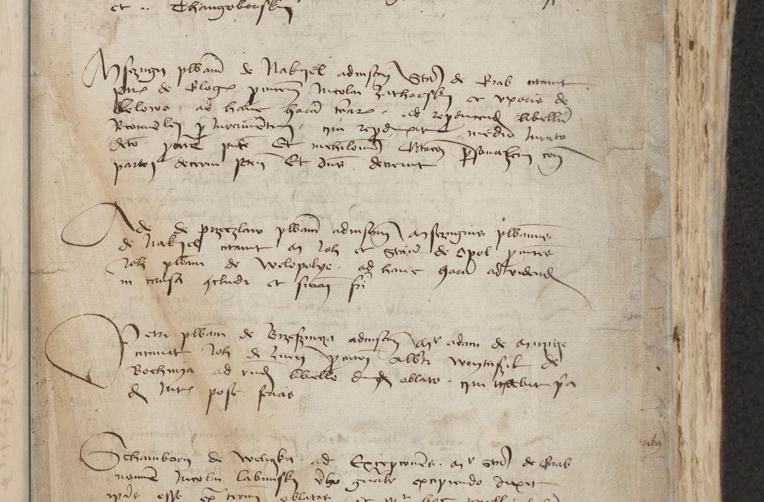 Zdjęcie nr 195 dla obiektu archiwalnego: [Acta actorum officialia coram Raphaele de Skawina]