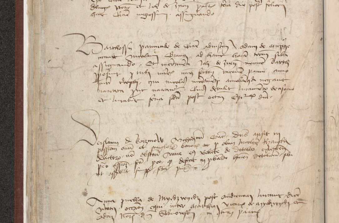 Zdjęcie nr 196 dla obiektu archiwalnego: [Acta actorum officialia coram Raphaele de Skawina]