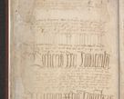 Zdjęcie nr 194 dla obiektu archiwalnego: [Acta actorum officialia coram Raphaele de Skawina]