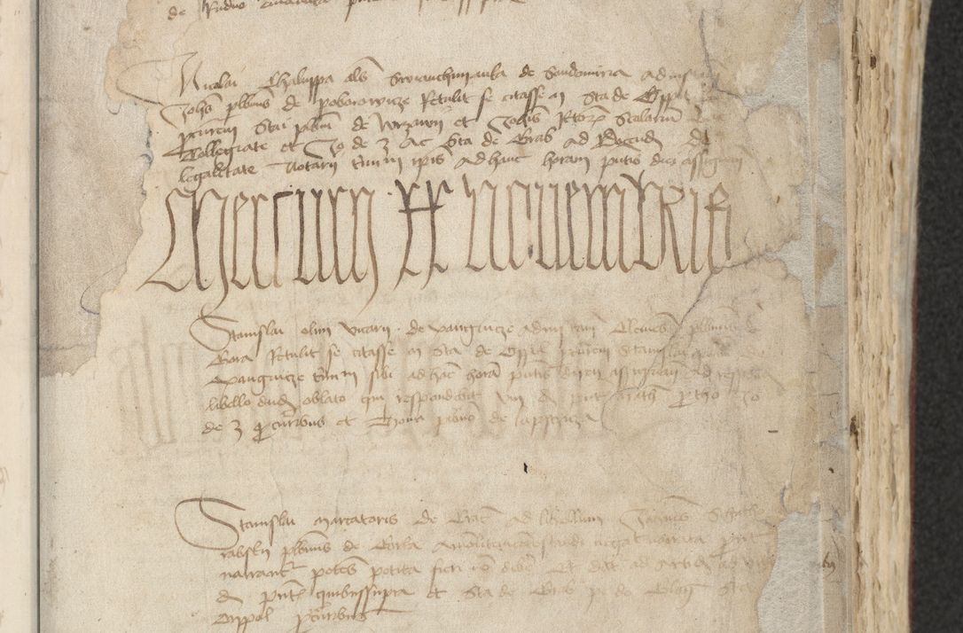 Zdjęcie nr 193 dla obiektu archiwalnego: [Acta actorum officialia coram Raphaele de Skawina]