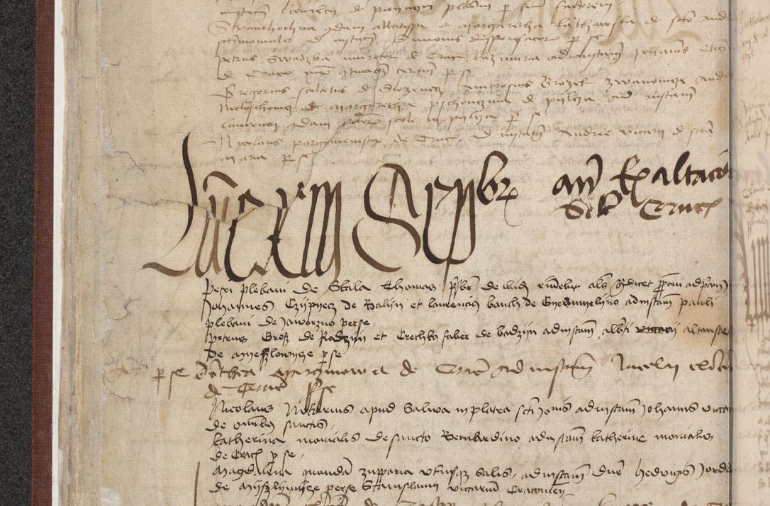 Zdjęcie nr 174 dla obiektu archiwalnego: [Acta actorum officialia coram Raphaele de Skawina]