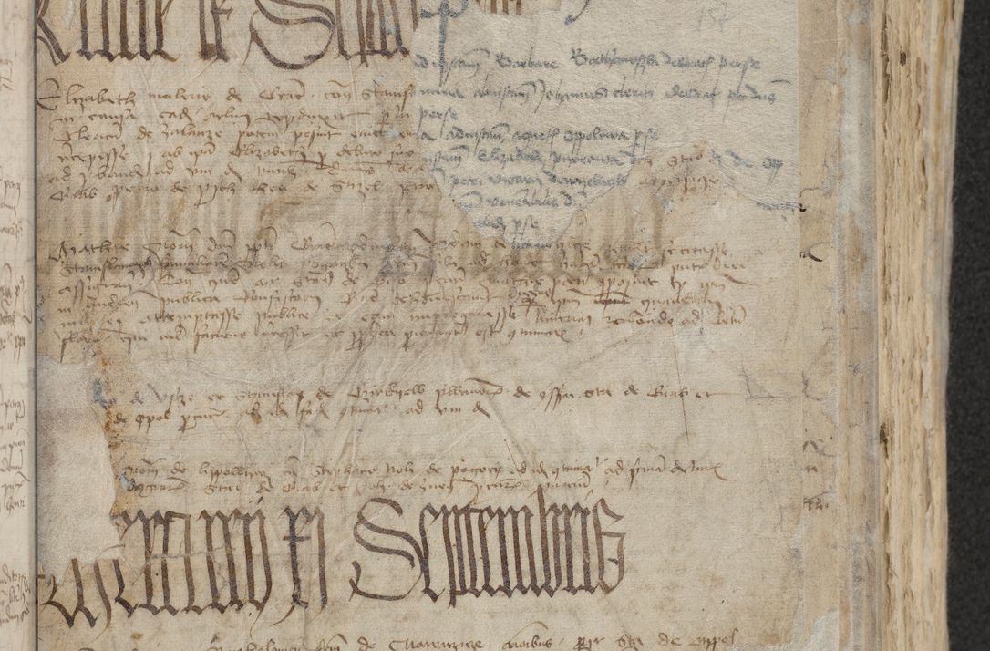 Zdjęcie nr 171 dla obiektu archiwalnego: [Acta actorum officialia coram Raphaele de Skawina]