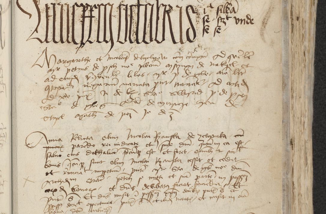 Zdjęcie nr 163 dla obiektu archiwalnego: [Acta actorum officialia coram Raphaele de Skawina]