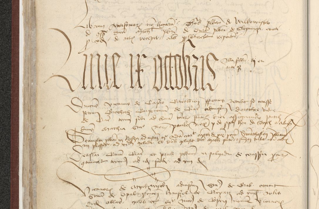 Zdjęcie nr 154 dla obiektu archiwalnego: [Acta actorum officialia coram Raphaele de Skawina]