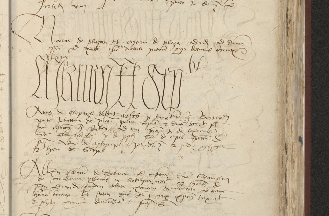 Zdjęcie nr 147 dla obiektu archiwalnego: [Acta actorum officialia coram Raphaele de Skawina]