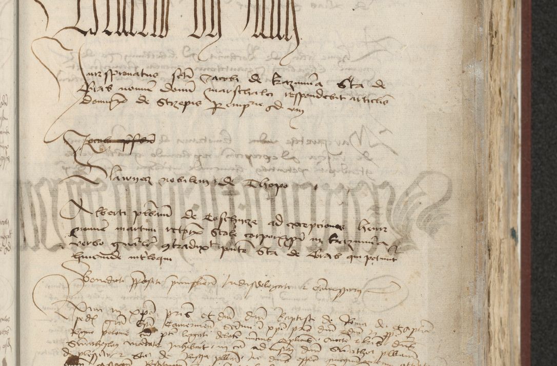 Zdjęcie nr 117 dla obiektu archiwalnego: [Acta actorum officialia coram Raphaele de Skawina]