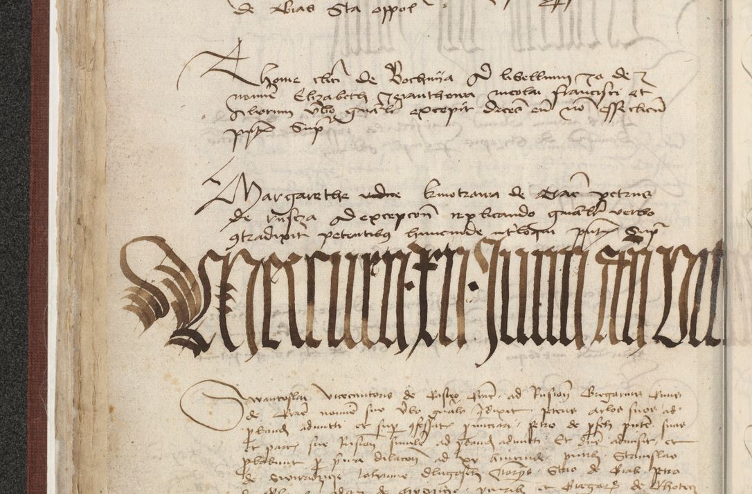 Zdjęcie nr 118 dla obiektu archiwalnego: [Acta actorum officialia coram Raphaele de Skawina]