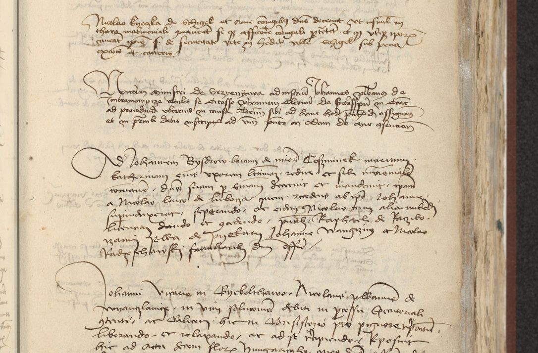 Zdjęcie nr 99 dla obiektu archiwalnego: [Acta actorum officialia coram Raphaele de Skawina]