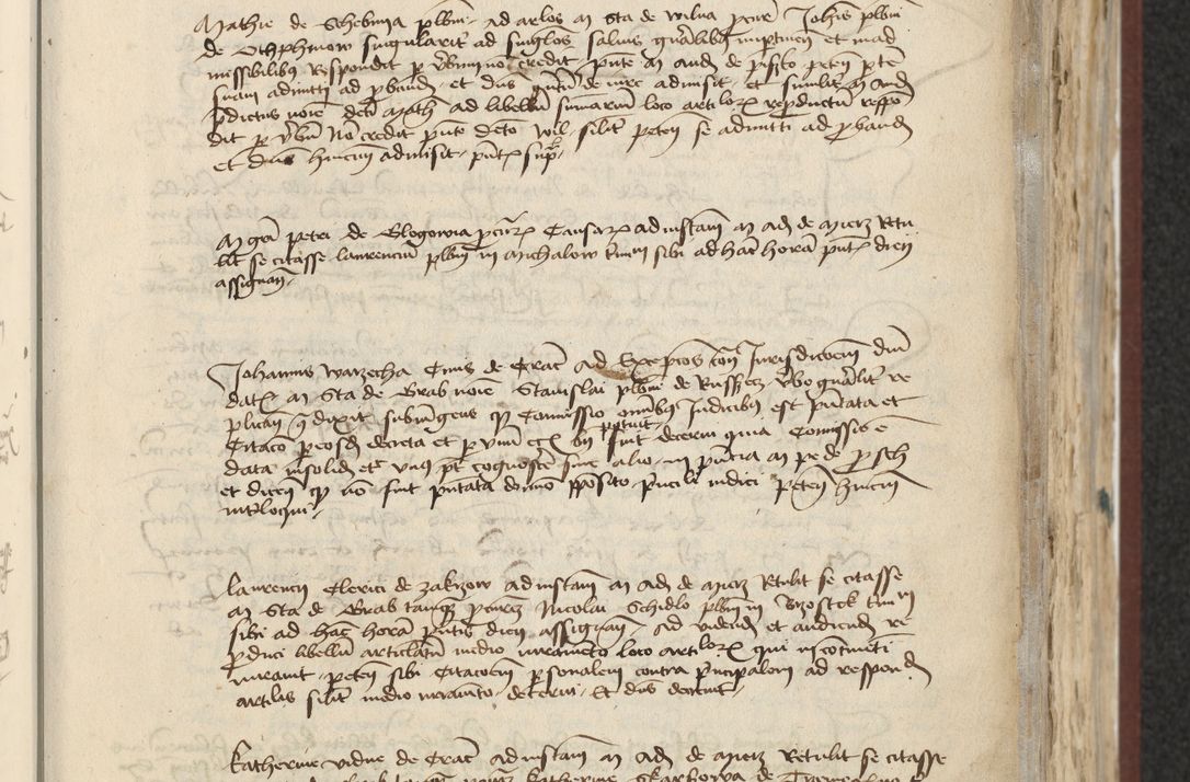 Zdjęcie nr 101 dla obiektu archiwalnego: [Acta actorum officialia coram Raphaele de Skawina]