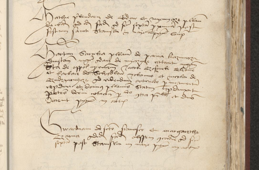 Zdjęcie nr 85 dla obiektu archiwalnego: [Acta actorum officialia coram Raphaele de Skawina]