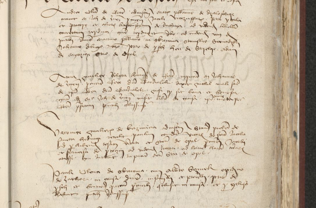 Zdjęcie nr 87 dla obiektu archiwalnego: [Acta actorum officialia coram Raphaele de Skawina]