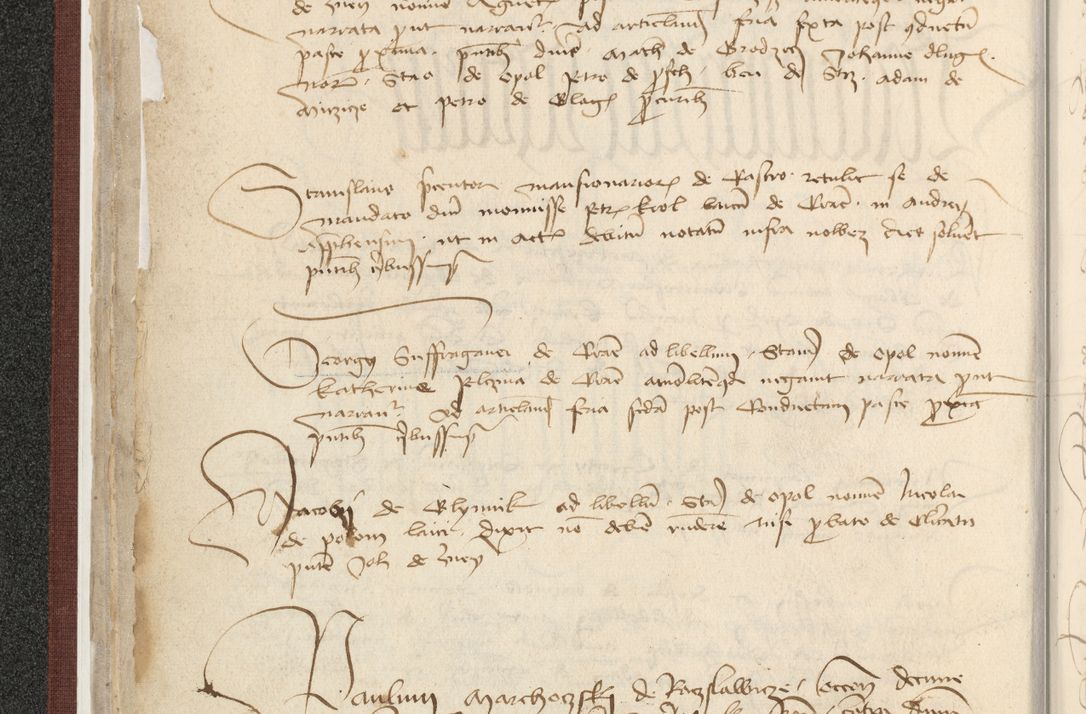 Zdjęcie nr 72 dla obiektu archiwalnego: [Acta actorum officialia coram Raphaele de Skawina]