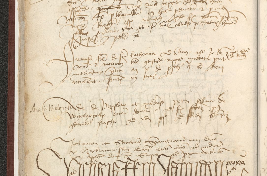 Zdjęcie nr 58 dla obiektu archiwalnego: [Acta actorum officialia coram Raphaele de Skawina]