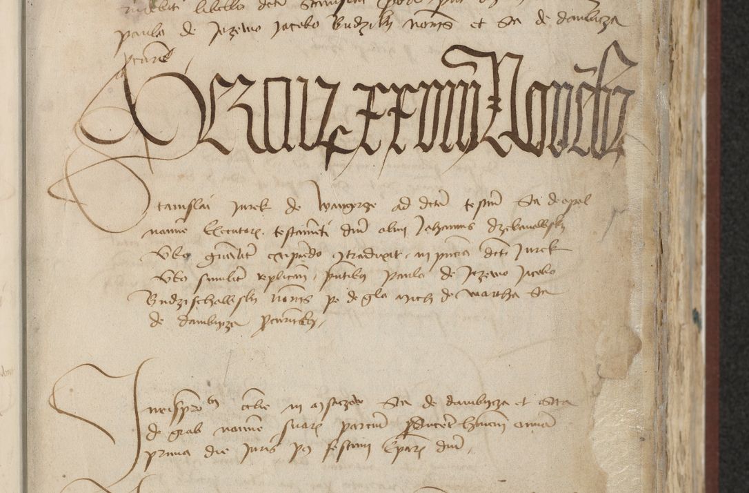 Zdjęcie nr 49 dla obiektu archiwalnego: [Acta actorum officialia coram Raphaele de Skawina]